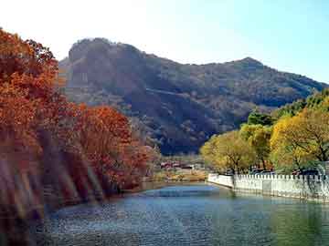 正版澳门天天开彩大全，景德镇seo论坛